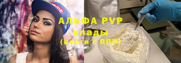 прущий лед Новозыбков