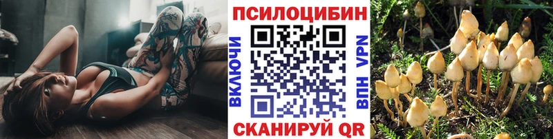 Псилоцибиновые грибы мухоморы  сколько стоит  Козельск 